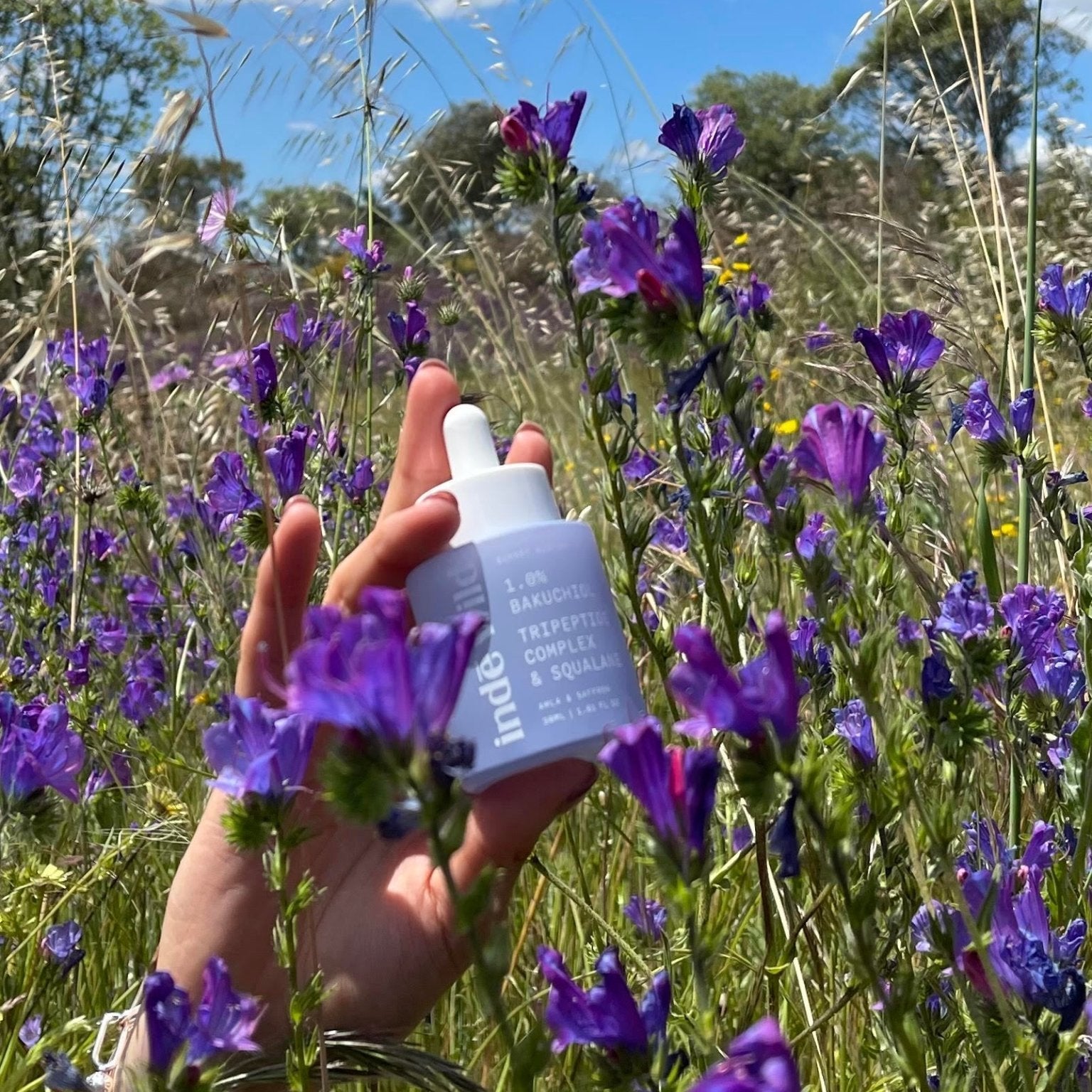 SKIN SECRETS BEHIND SQUALANE - indē wild US